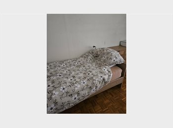 Roomgo CH - Chambre à louer pour un(e) étudiant(e), Genève - 850 CHF / Mois