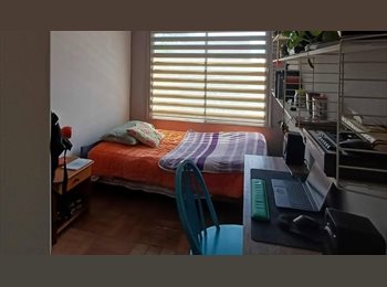 CompartoDepto CL - Habitacion disponible sector Bellas  Artes, Santiago Centro - CH$245.000 por mes