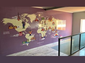 CompartoDepto CL - ARRIENDO ESTUDIANTE, Viña del Mar - CH$230.000 por mes