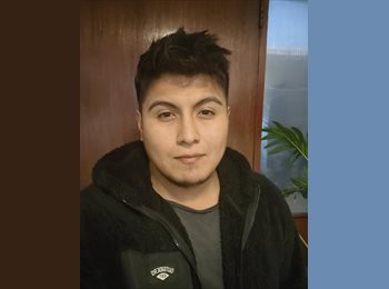 CompartoDepto CL - Kevin Gamarra - 33 - Santiago