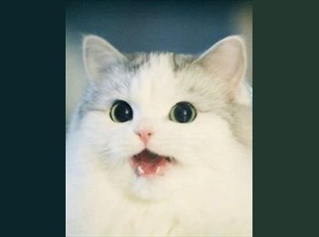 CompartoDepto CL - Miloban - 23 - Concepción