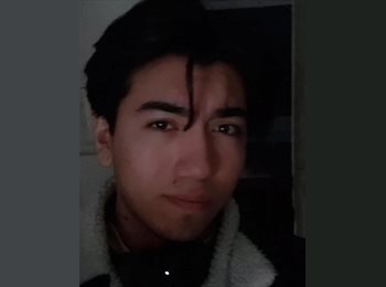 CompartoDepto CL - Nicolás Muñoz Fuenzalida - 21 - Viña del Mar