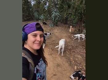 CompartoDepto CL - Isidora  - 30 - Viña del Mar