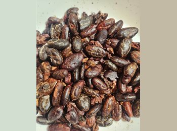 CompartoApto CO - Sebastian - 59 - Funza