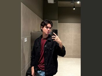 CompartoApto CO - sebastian hernandez - 26 - Bello