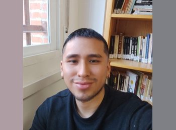 Roomgo ES - Sergio - 30 - Madrid