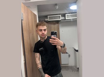 Roomgo IE - Petr - 23 - Dublin