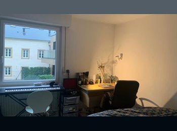 Appartager LU - cozy room available from 1st of November 2025, Luxembourg - 940 € p.m.