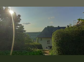 Appartager LU - Bright, big room in a house with a garden next to EU- institutions and the big 4 on Kirchberg, Luxembourg - 1.000 € / Mois
