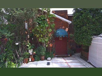 Roomgo MX - Rento Habitación, Alvaro Obregón - MX$8,500 por mes