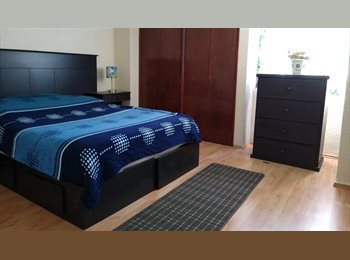 Roomgo MX - Excelente ubicación, Cuauhtémoc - MX$9,000 por mes