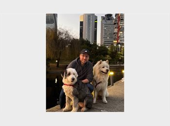 Roomgo MX - Busco roomie en Santa Fe, Alvaro Obregón - MX$7,500 por mes