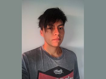 Roomgo MX - Mauricio Martínez - 25 - Azcapotzalco