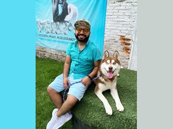 Roomgo MX - Alfonso Garcia  - 29 - Puebla