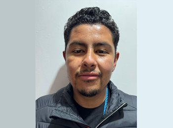 Roomgo MX - Mario Alberto xochitemol Martinez  - 24 - Alvaro Obregón