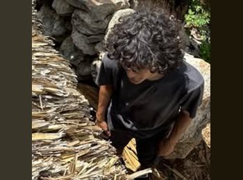 Roomgo MX - Andre - 22 - Mérida