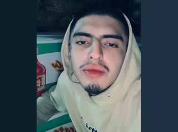 Roomgo MX - Cheistofe - 18 - Morelia