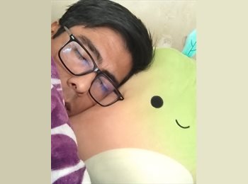 Roomgo MX - Tony - 34 - Puebla