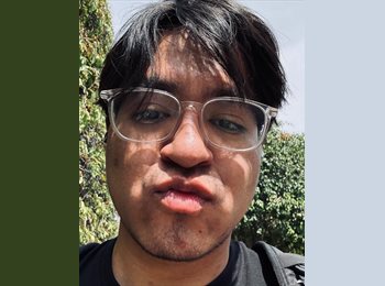 Roomgo MX - Abner - 25 - México - D.F.