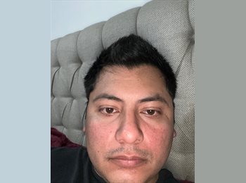 Roomgo MX - Nahum - 33 - Querétaro