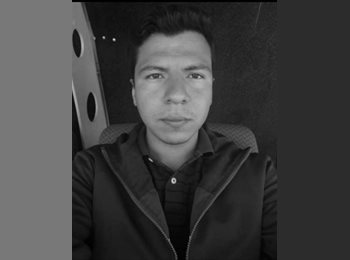 Roomgo MX - Javier - 31 - León