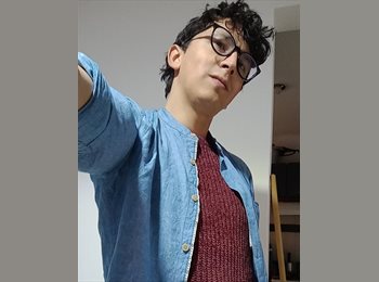 Roomgo MX - Jesus Bueno - 35 - México - D.F.