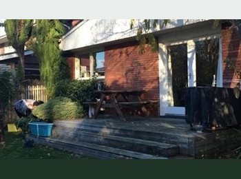 Roomgo NZ - Large f f room on grd floor, Christchurch - $245 pw