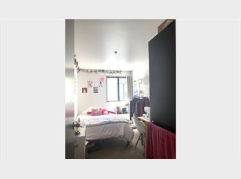 Roomgo NZ - Sunny flat for 2026, Wellington - $230 pw