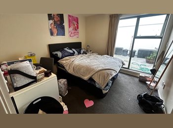 Roomgo NZ - Summer Sublet or Take Over Alert! Your Dream Flat Awaits, Wellington - $265 pw