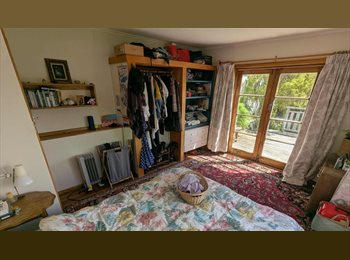 Roomgo NZ - Sunny Master Bedroom in Eco conscious household, Wellington - $380 pw
