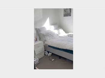 Roomgo NZ - Warm Cosy Flat In Centre of Dunedin, Dunedin - $222 pw