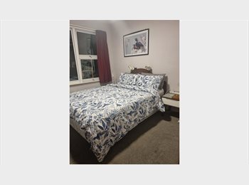 Roomgo NZ - Looking for long term flatmate, Christchurch - $220 pw