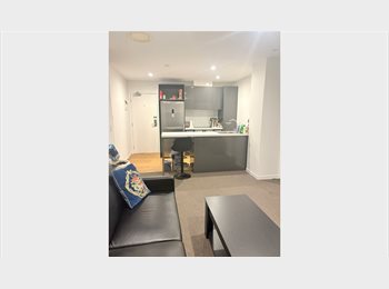 Roomgo NZ - Buket, Auckland - $350 pw