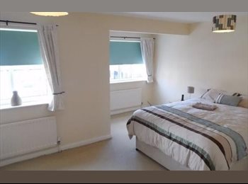 Roomgo UK - Houseshare in St Peters Marina, Byker - £375 pcm