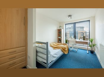 Roomgo UK - Double Student Rooms in 7 Bed City Centre Apt, Netherthorpe - £433 pcm