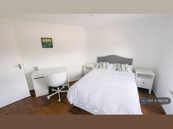 Roomgo UK - Room in a shared flat, Exeter - £1,000 pcm