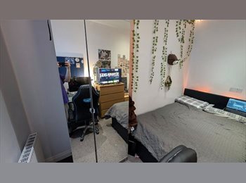 Roomgo UK - TENANCY TAKEOVER, Newcastle upon Tyne - £546 pcm