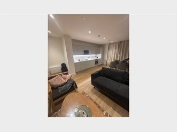 Roomgo UK - En-suite room available, in a 2 bedroom apartment!, Ladywood - £750 pcm