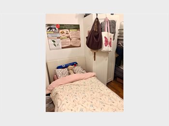Roomgo UK -  ZONE 1 BAYSWATER — FEMALE STUDENT ROOM — £154/WEEK (ALL BILLS INCLUDED), Bayswater - £616 pcm