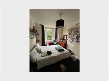 Roomgo UK - Double room on Howard Street close to city centre, Temple Cowley - £600 pcm