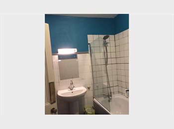 Roomgo UK - double room in Nunhead, Nunhead - £800 pcm