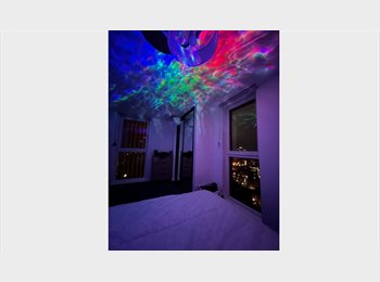 Roomgo UK - Spacious, Modern 1 Bedroom in 2-Bed Flat, New Islington - £900 pcm