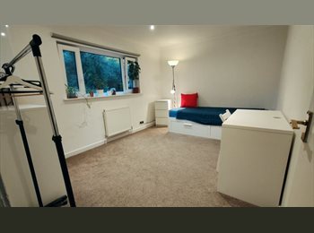 Roomgo UK - Spacious double room in modern house, Alloa - £550 pcm