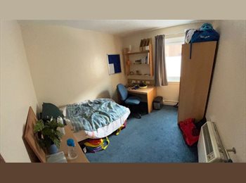 Roomgo UK - University Accommodation! Sciennes, Bruntsfield - £710 pcm