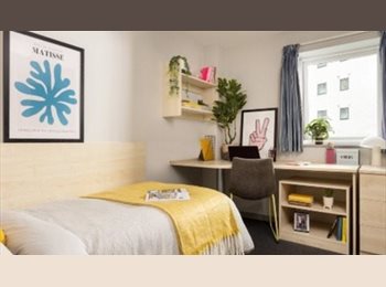 Roomgo UK - Grand Central - Room in flat, Liverpool - £600 pcm