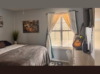 Roomgo US - Quiet Bedrooms in South Austin – Ideal for Professional, Grad or International Students, Oak Hill - $750 pm