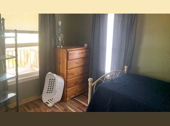 Roomgo US - One room in a safe and sober house, Olympia - $700 pm