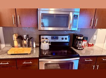 Roomgo US - Cozy Austin Room, Southpark Meadows - $980 pm