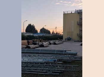 Roomgo US - Gül - 30 - NYC