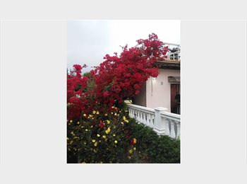 Roomgo AR - alquilo habitacion, Buenos Aires - AR$ 495.000 pm